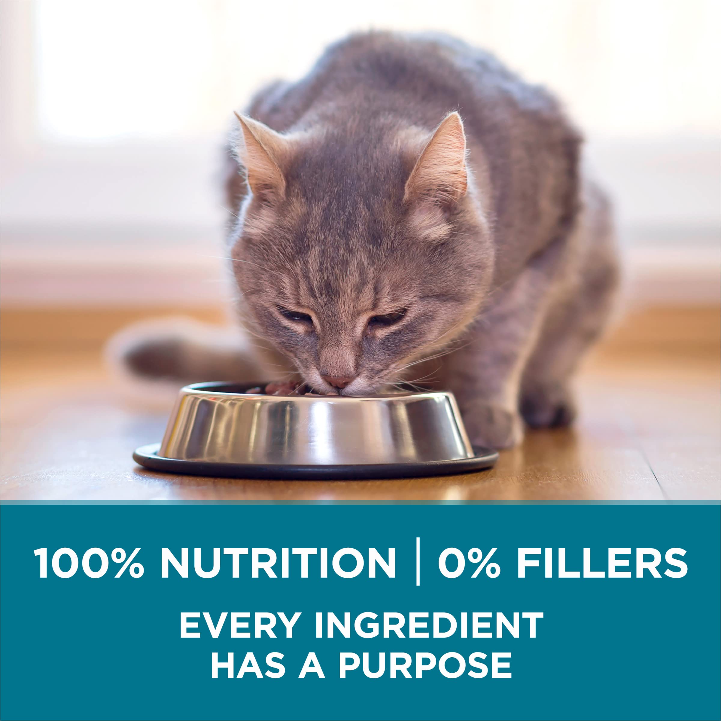 Purina ONE omega-6 para piel sana y pelaje brillante.