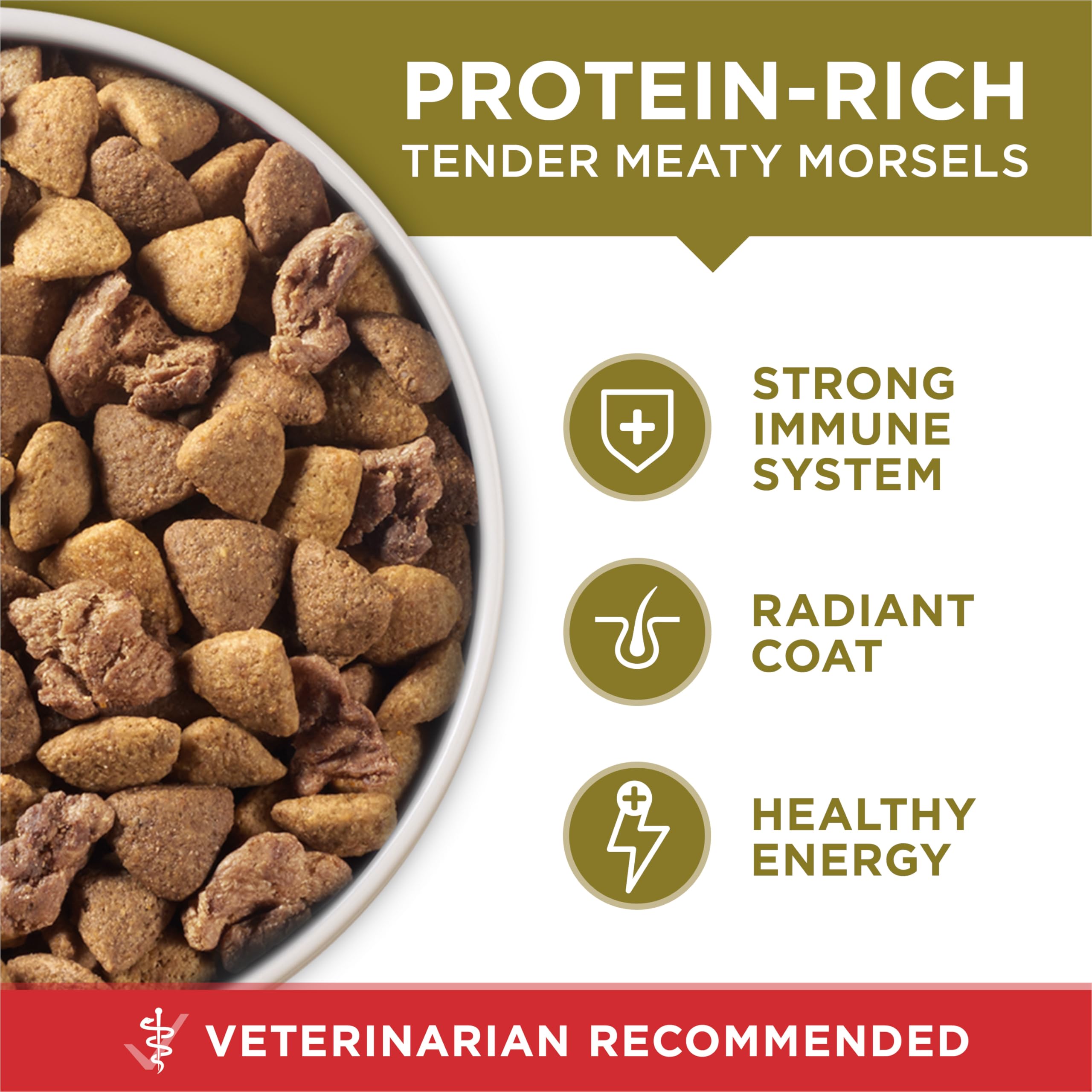 Purina ONE omega-6, pelaje y piel sanos, brillo visible.