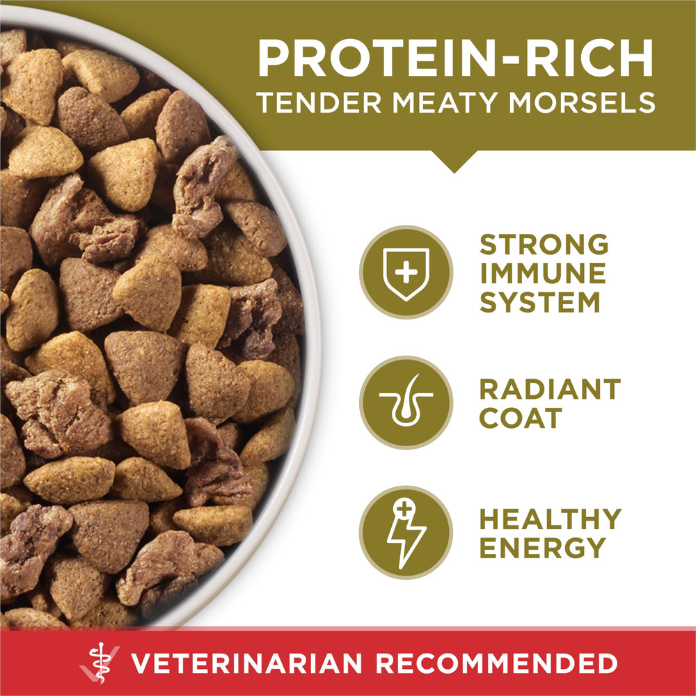 Purina ONE omega-6, pelaje y piel sanos, brillo visible.
