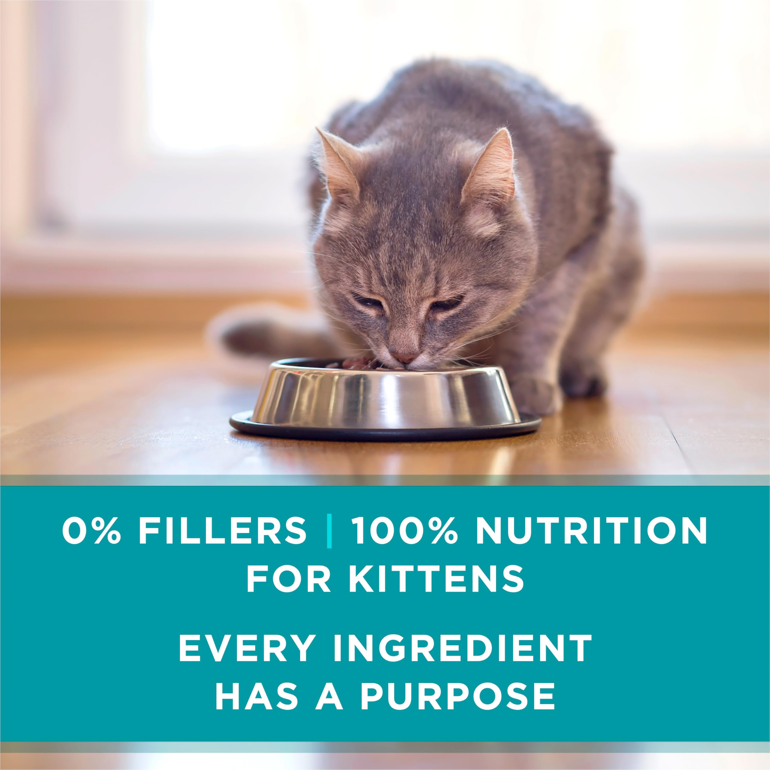 Purina ONE paquete de 24 latas, práctico para alimentar al gatito cada día.
