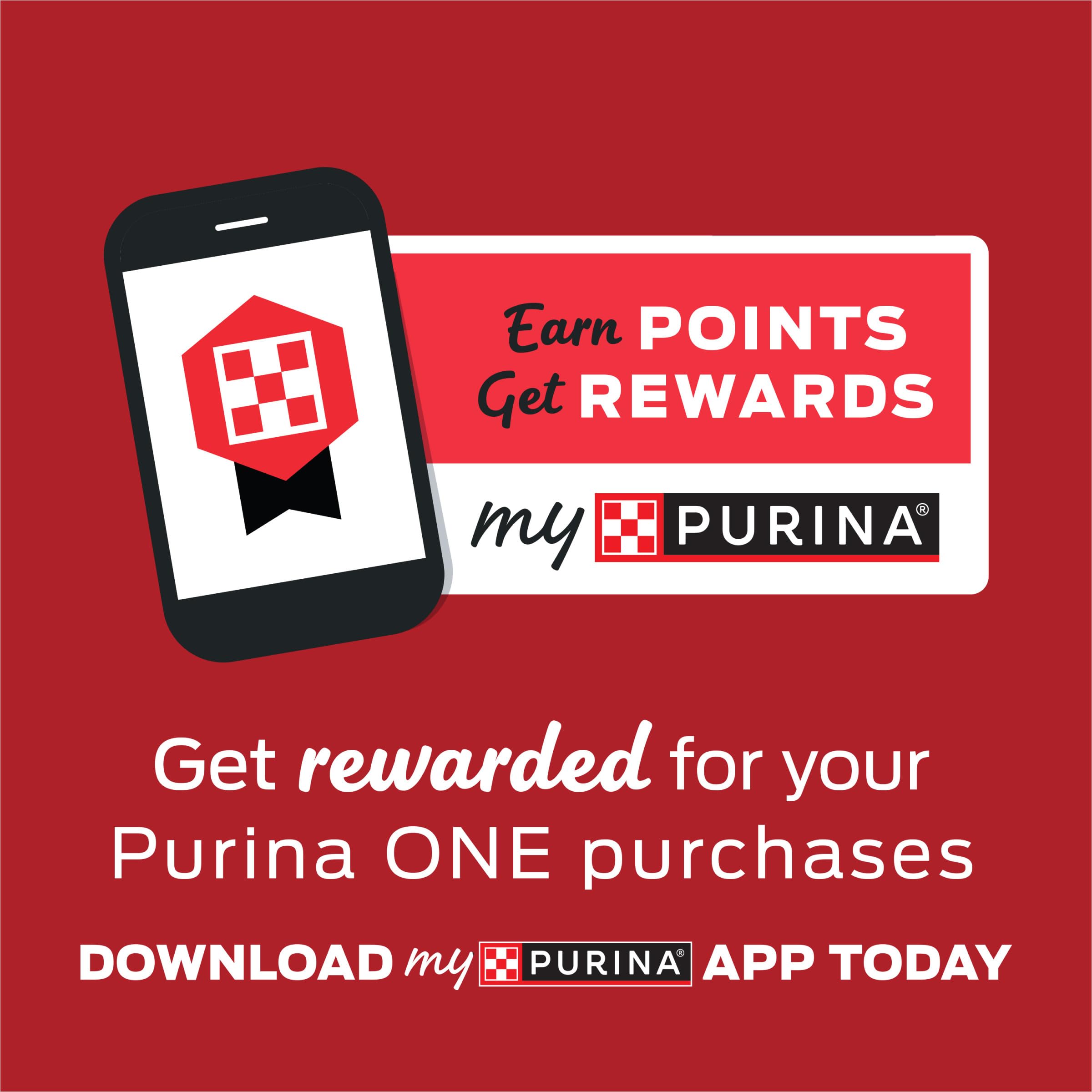 Purina One Pavo Pate: lata 3oz destacando receta sin granos para gatos