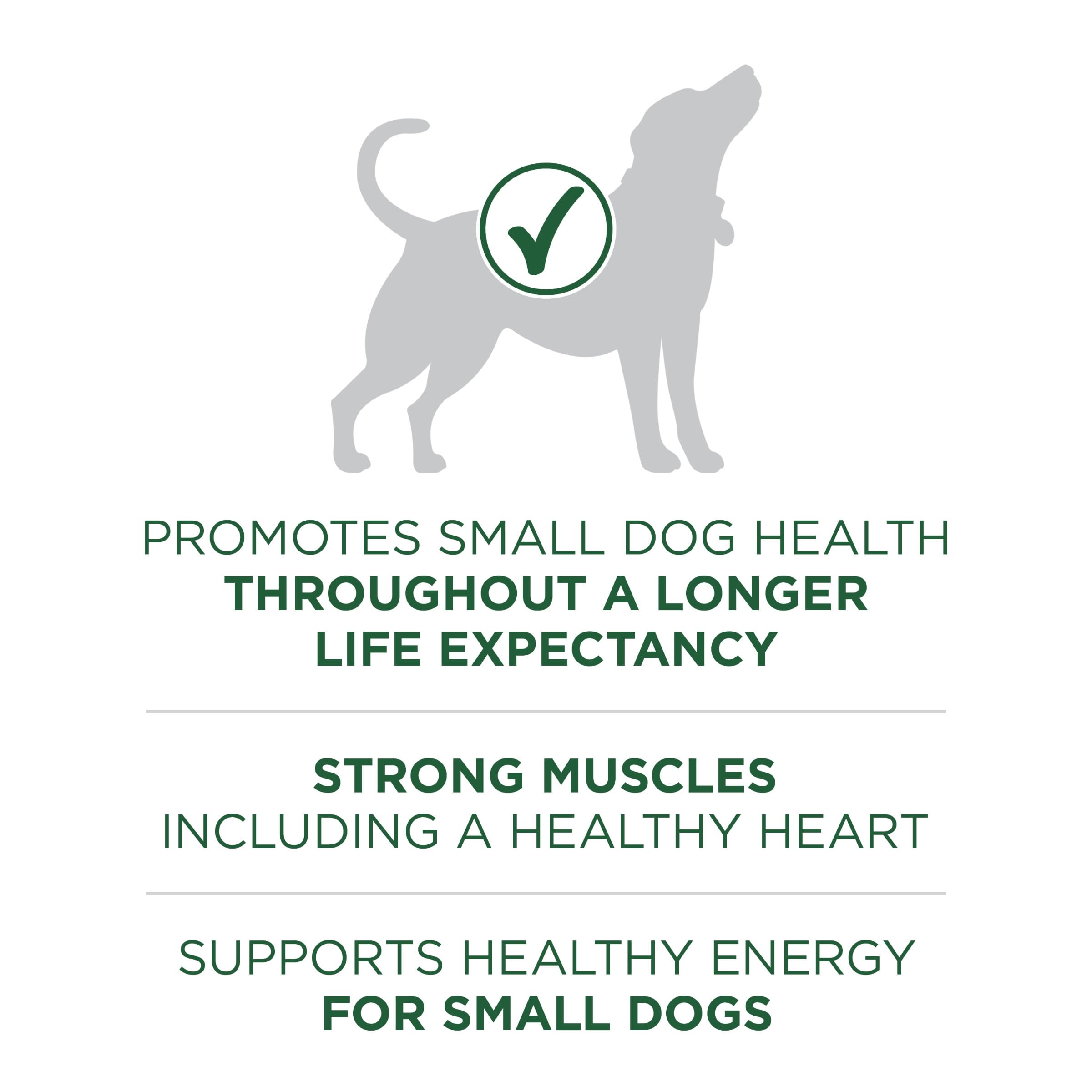 Purina One, primer ingrediente cordero, alimento nutritivo para músculos y energía.