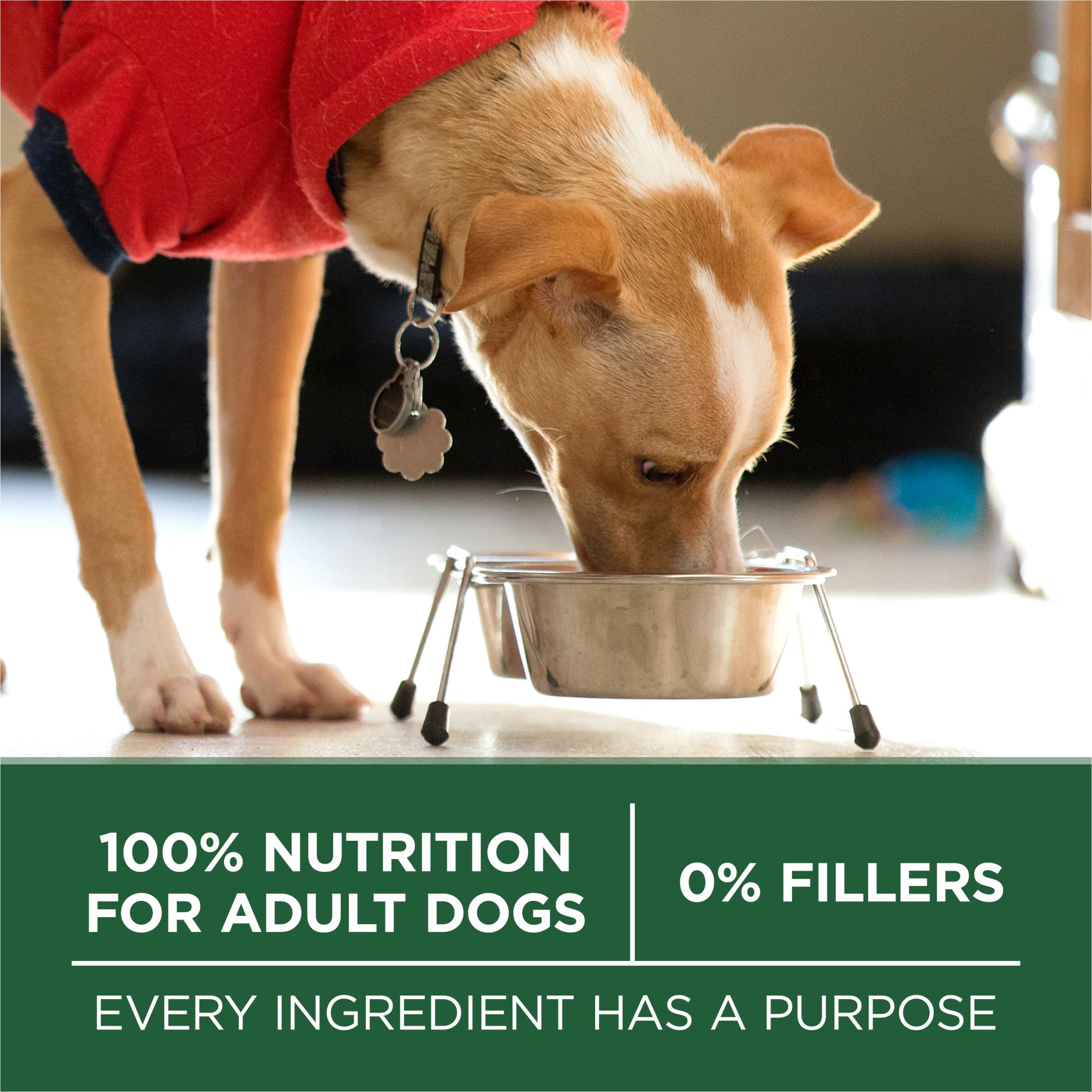 Purina One, sin subproductos avícolas para una dieta más limpia.