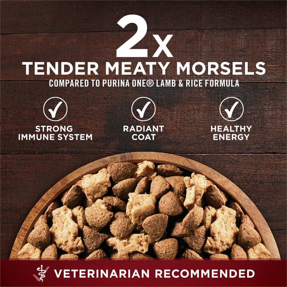 Purina ONE para perro adulto, ideal para una dieta balanceada.