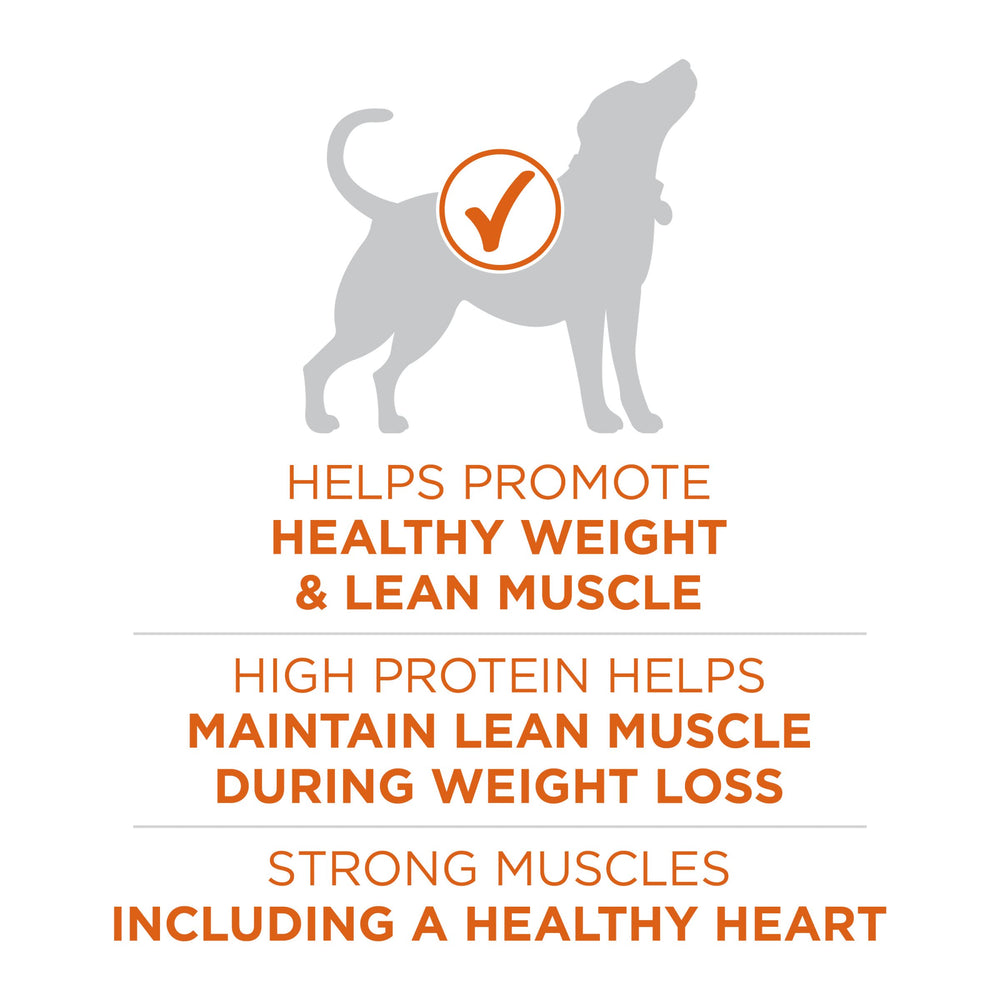 Purina ONE Plus Cuatro antioxidantes: apoya la inmunidad en perros activos.