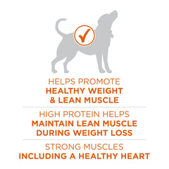 Purina ONE Plus Cuatro antioxidantes: apoya la inmunidad en perros activos.
