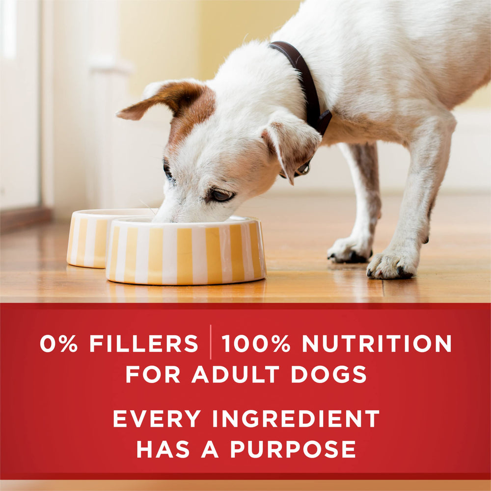 Purina ONE Plus antioxidantes en salsa, apoyo al sistema inmunológico.