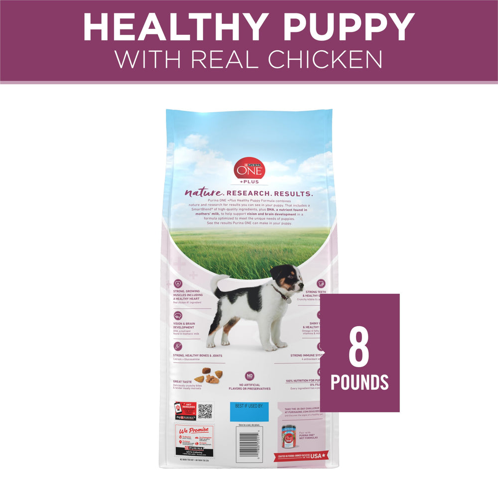 Apoyo a articulaciones de cachorros con glucosamina natural