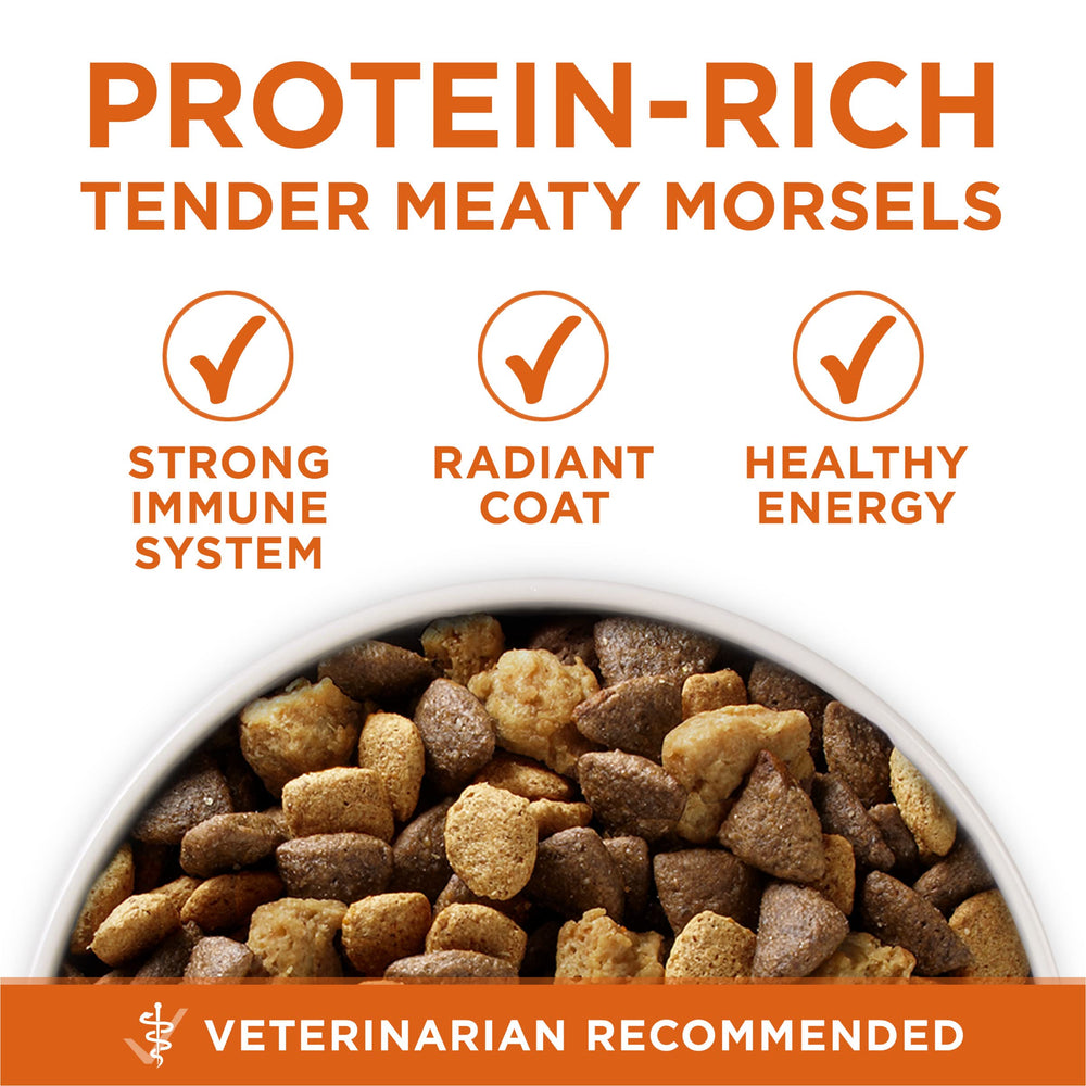 Purina ONE Plus Calcio: dientes fuertes y encías saludables.