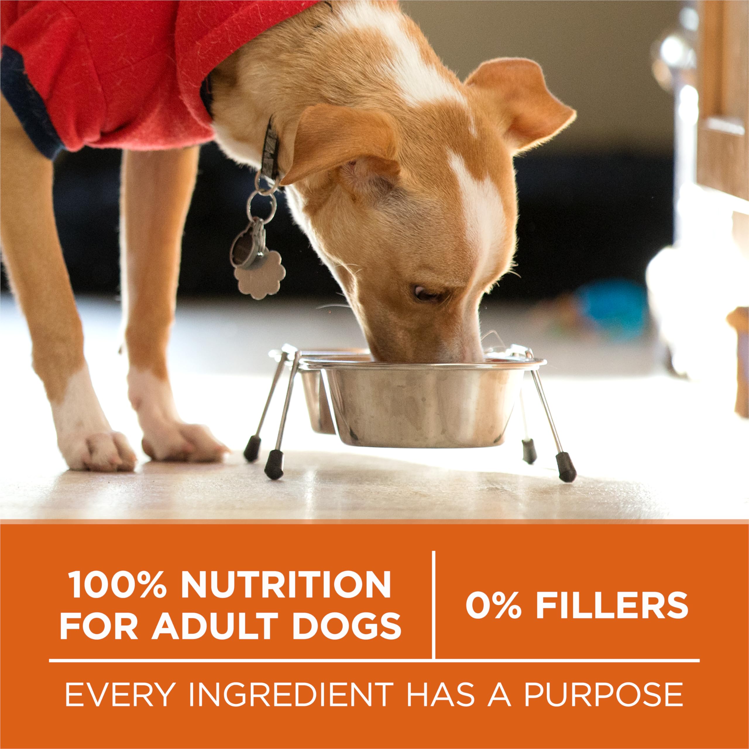 Purina ONE Plus Glucosamina Natural: soporte para articulaciones mediante glucosamina natural.