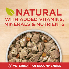 Purina ONE Plus salsa sabrosa mejora el sabor para perros adultos.