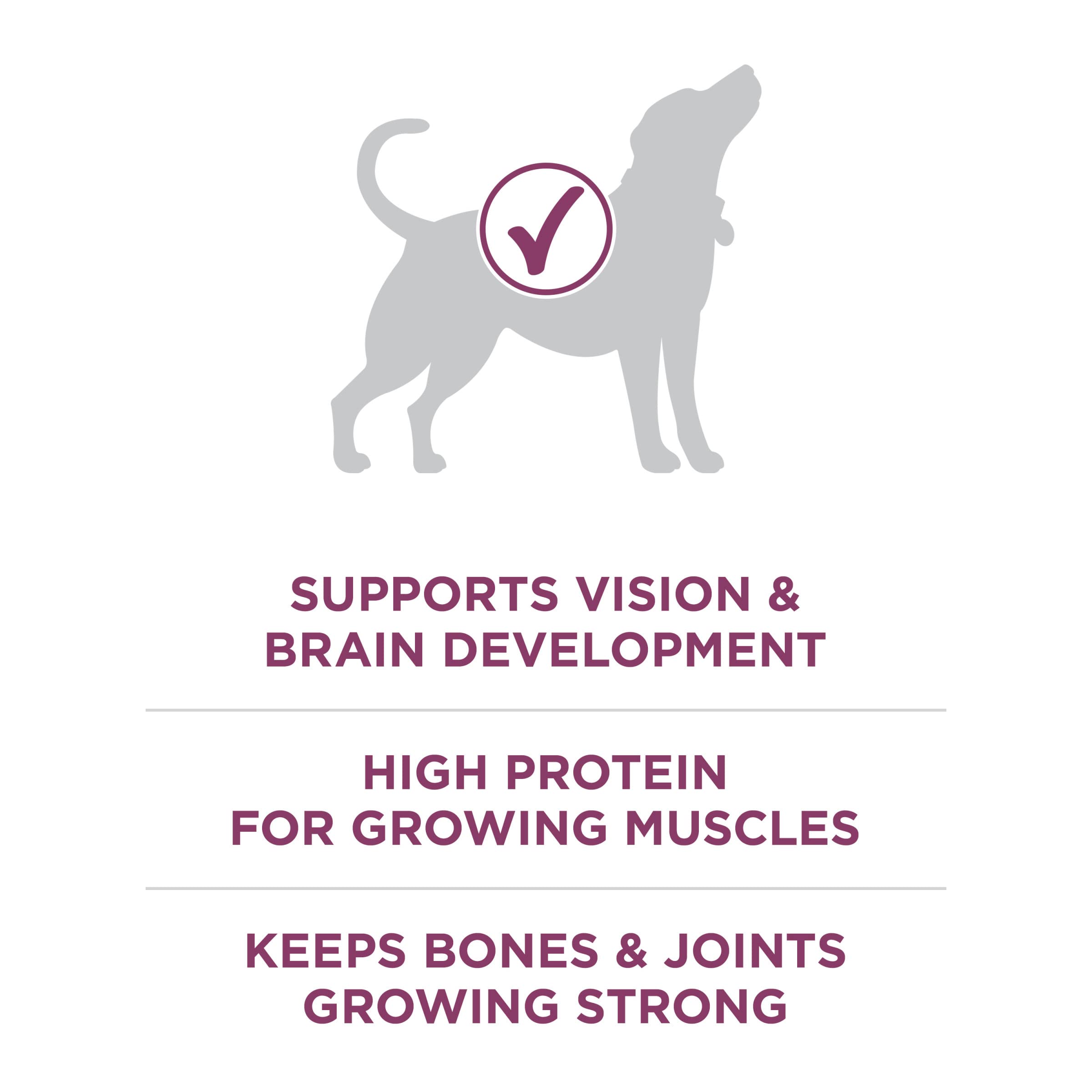 Purina ONE Plus Healthy Puppy, digestibilidad alta y digestión suave