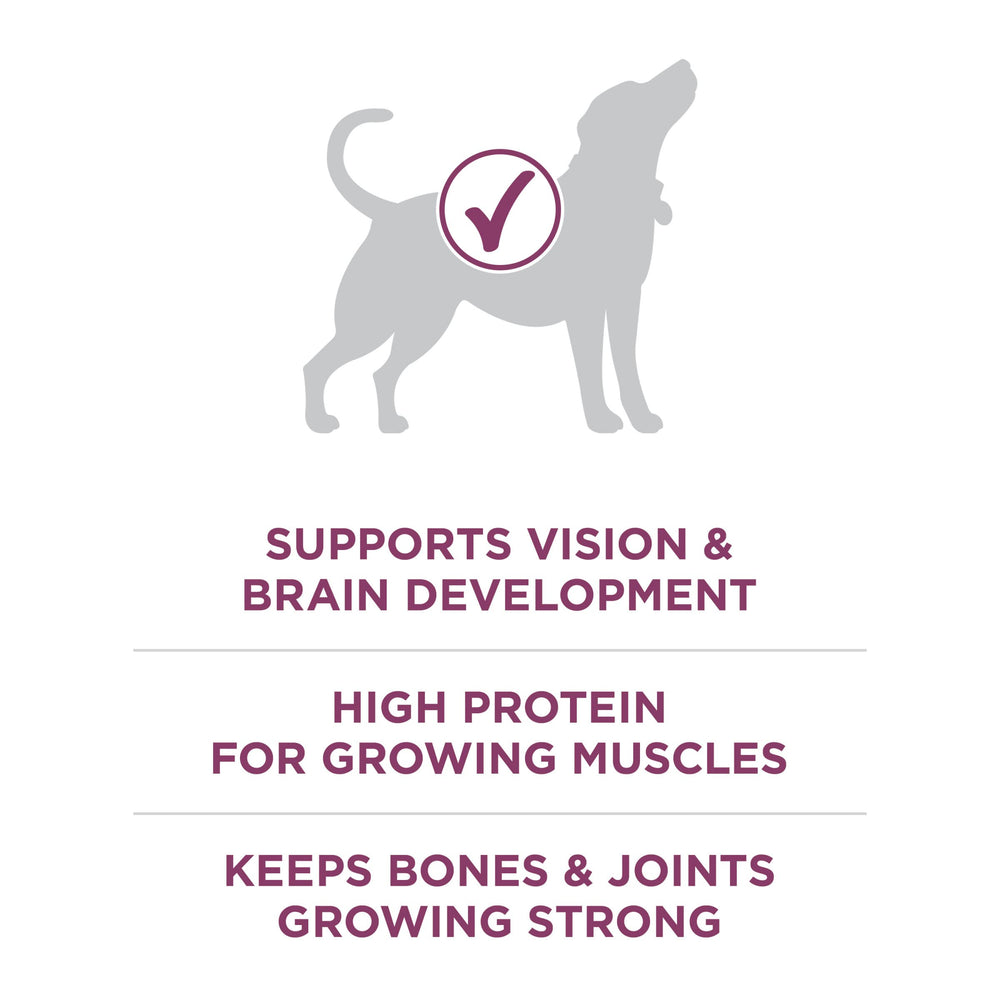 Purina ONE Plus Healthy Puppy, digestibilidad alta y digestión suave