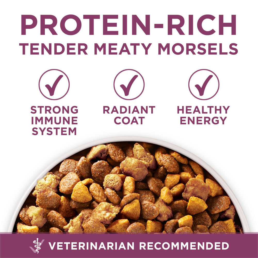 Purina ONE Plus Healthy Puppy, omega-6 para pelaje y piel brillante