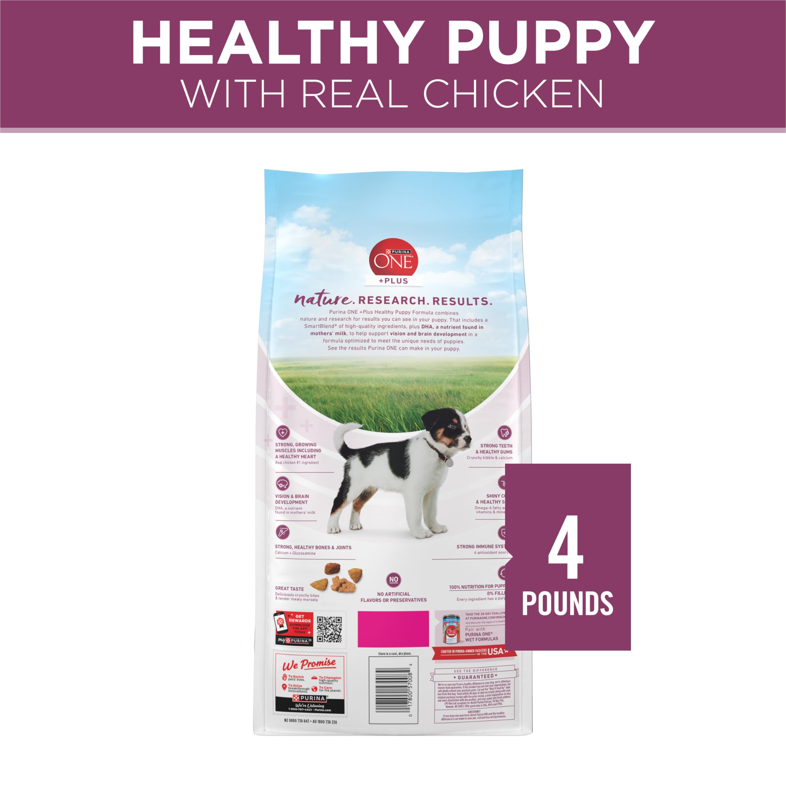 Purina ONE Plus Healthy Puppy, sin conservantes añadidos