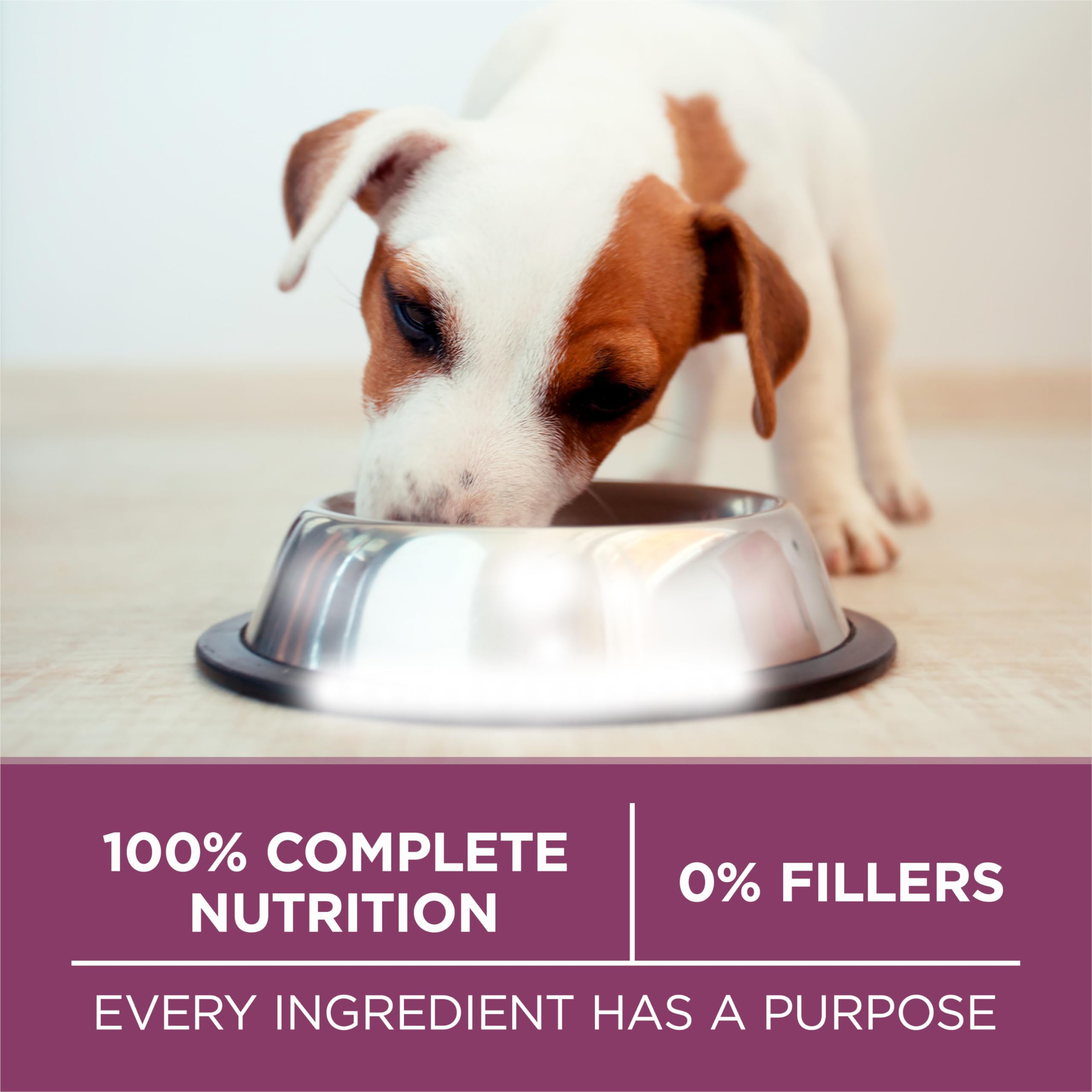 Purina ONE Plus Healthy Puppy, sin sabores artificiales