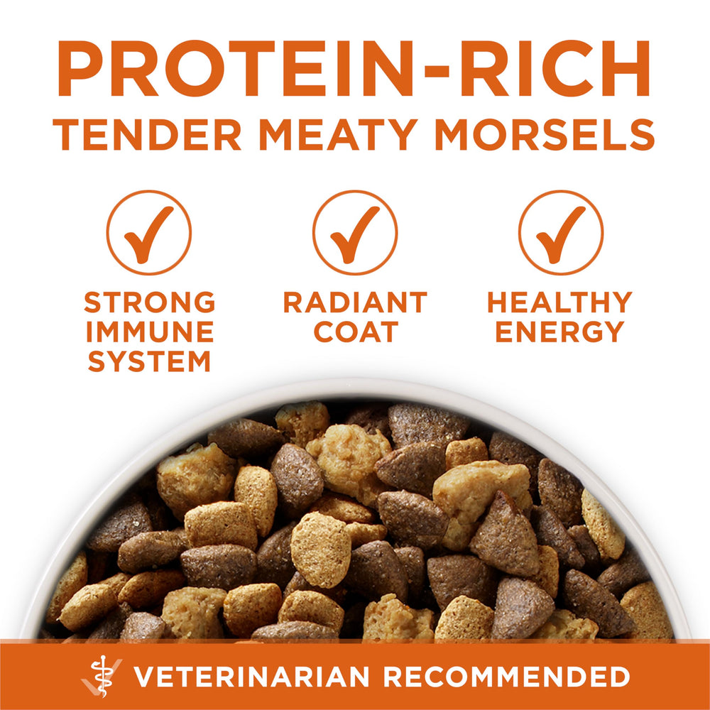 Purina ONE Plus Inmunidad Antioxidantes: antioxidantes para apoyar defensas naturales.