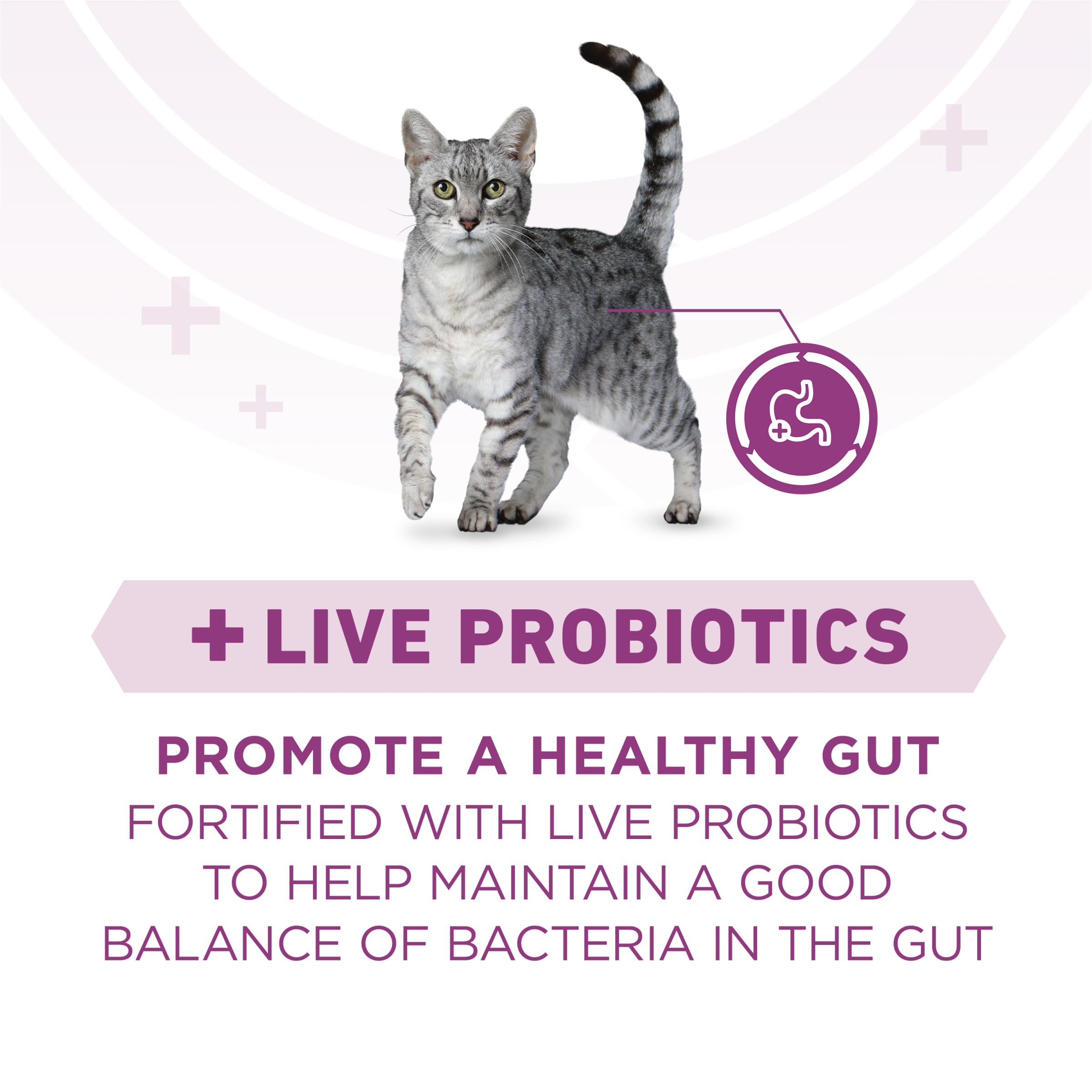 Purina ONE Plus probióticos vivos para digestión saludable.