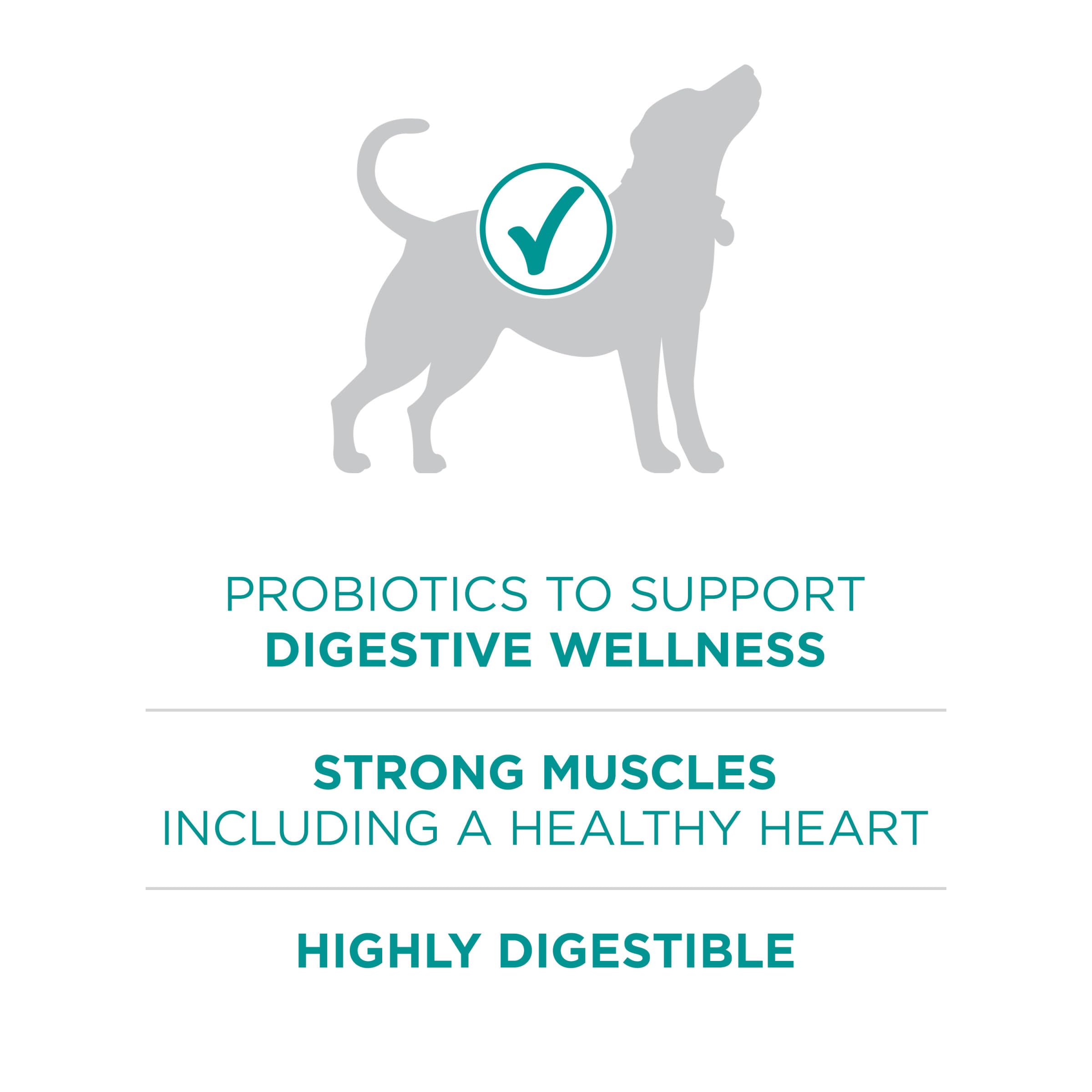 Purina One Plus probióticos digestivos para apoyo intestinal