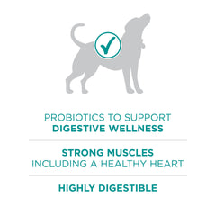Purina One Plus probióticos digestivos para apoyo intestinal