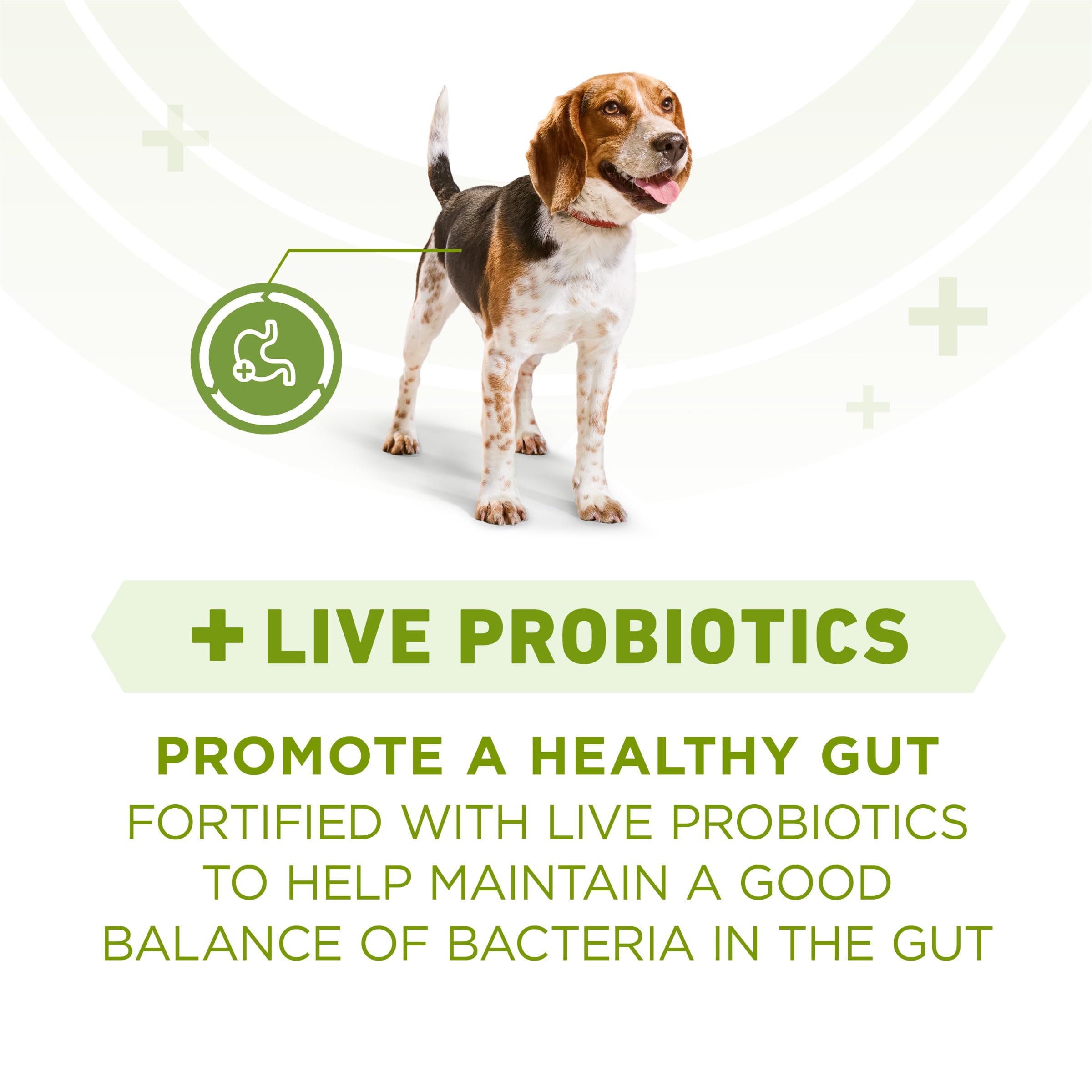 Purina ONE Plus probiotics and vitamin E support digestion and immune health
