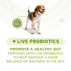 Purina ONE Plus probiotics and vitamin E support digestion and immune health