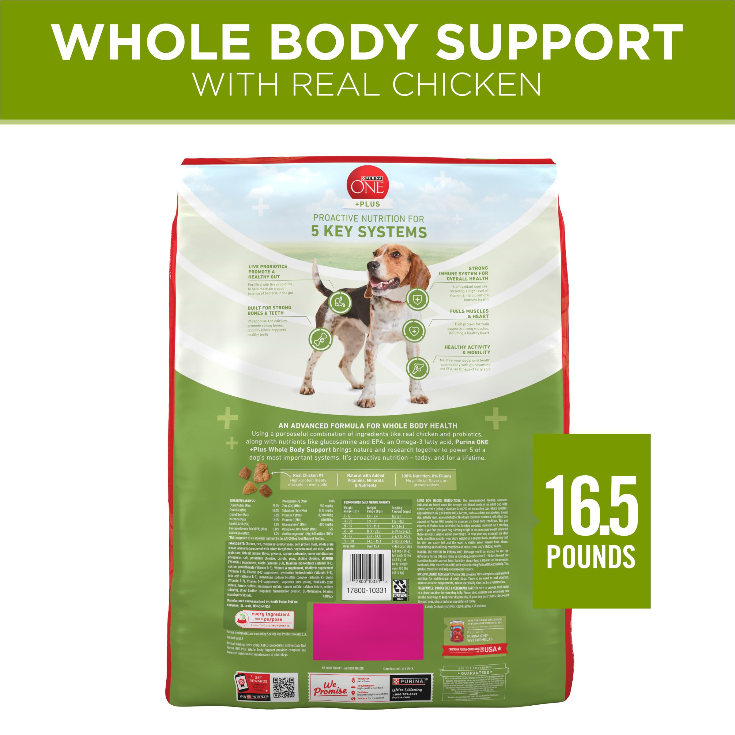 Purina ONE Plus sirve solo o con comida humeda para variedad