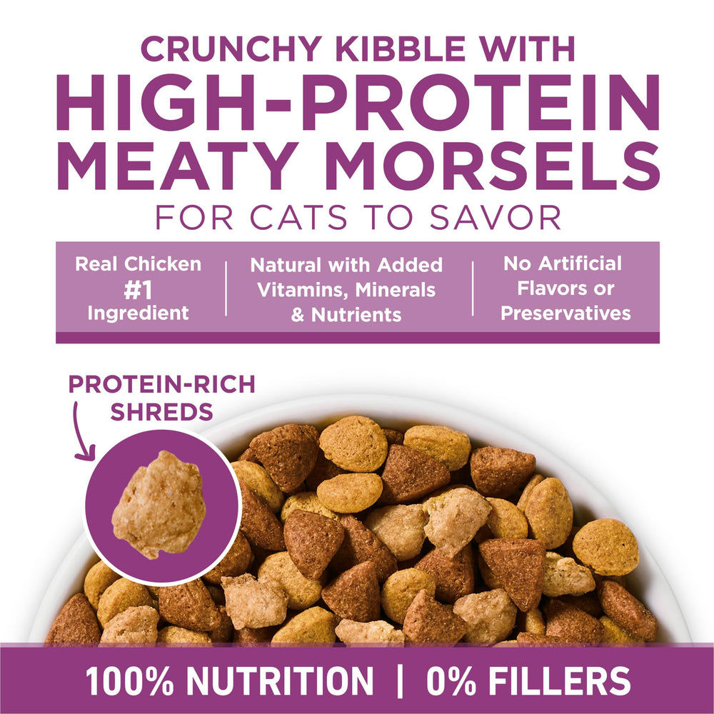 Purina ONE Plus sin rellenos ni conservantes artificiales.