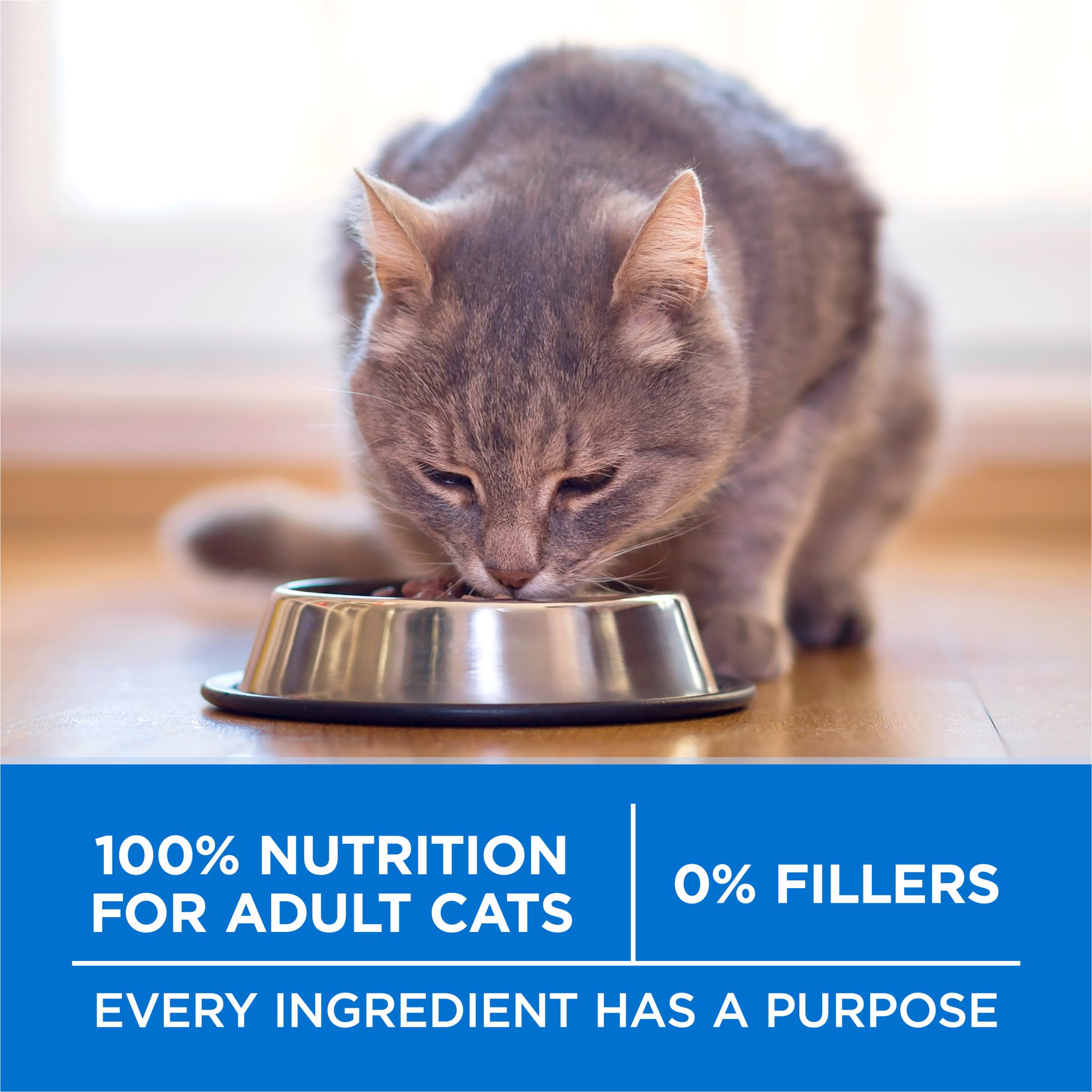 Purina ONE Plus sin rellenos, dieta limpia para gatos.