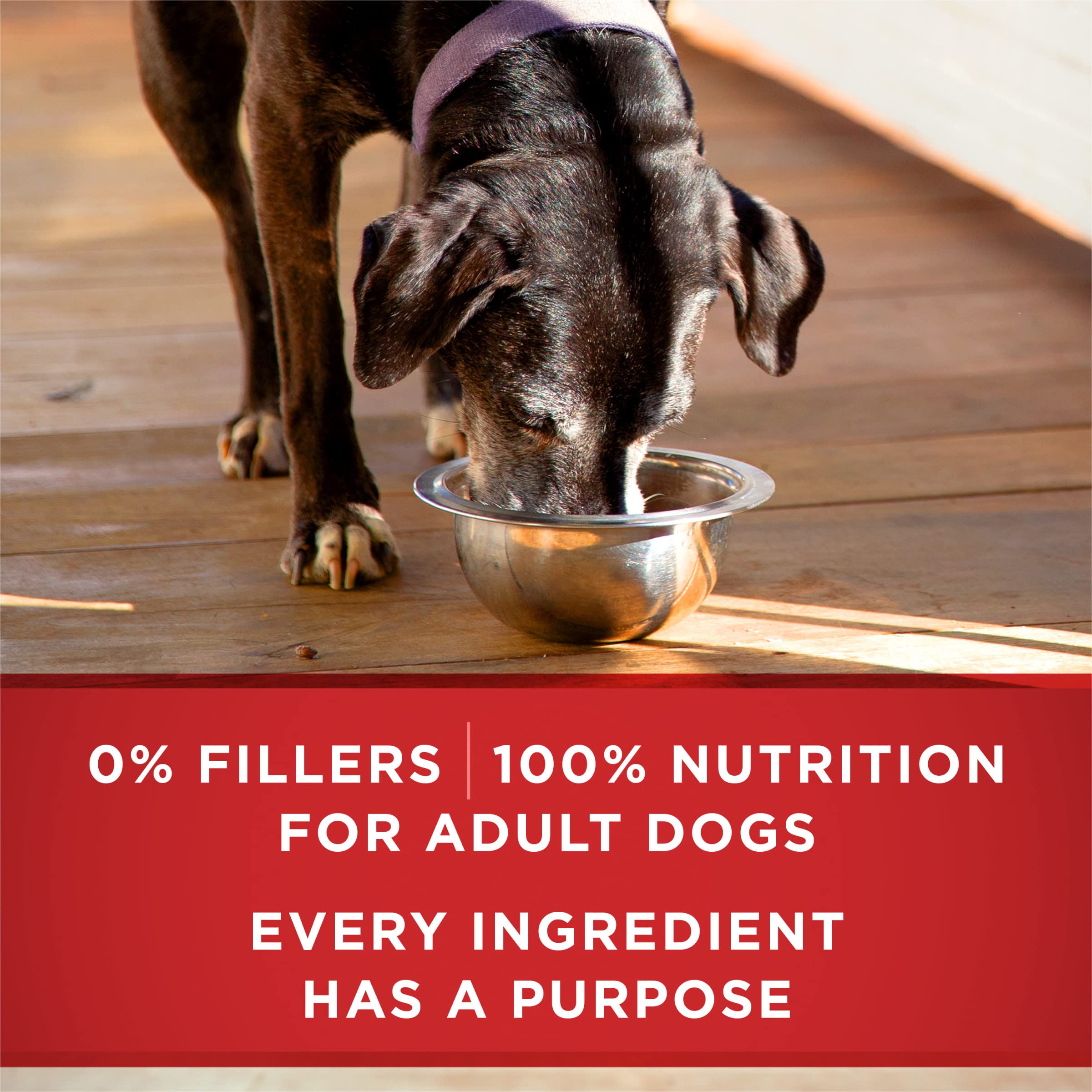 Purina ONE Plus sin subproductos avícolas, fórmula limpia para mayores.