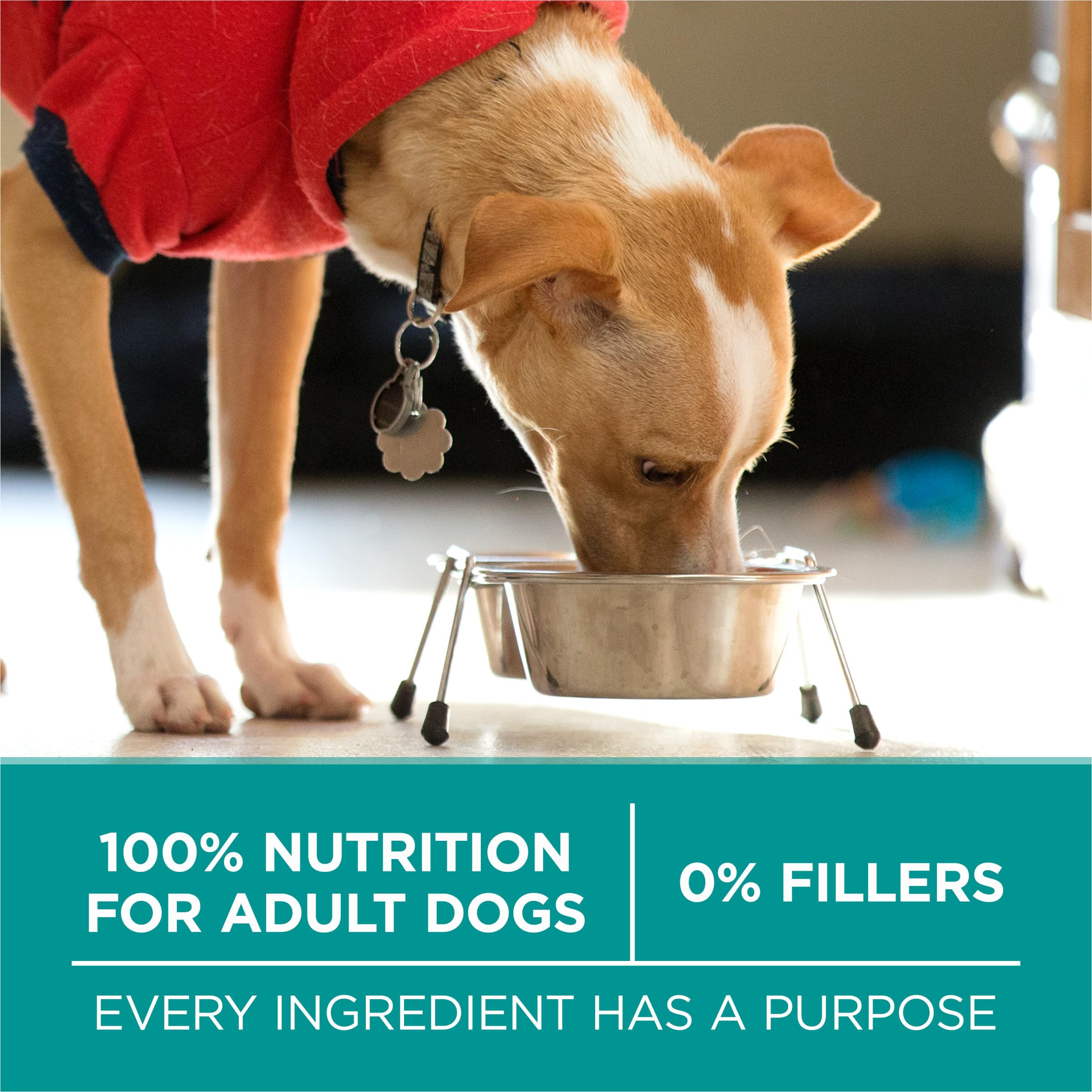 Purina One Plus SmartBlend, mezcla equilibrada de ingredientes