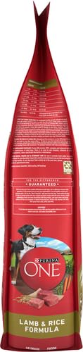 Purina ONE fibra prebiótica, salud digestiva y microbioma en enfoque.