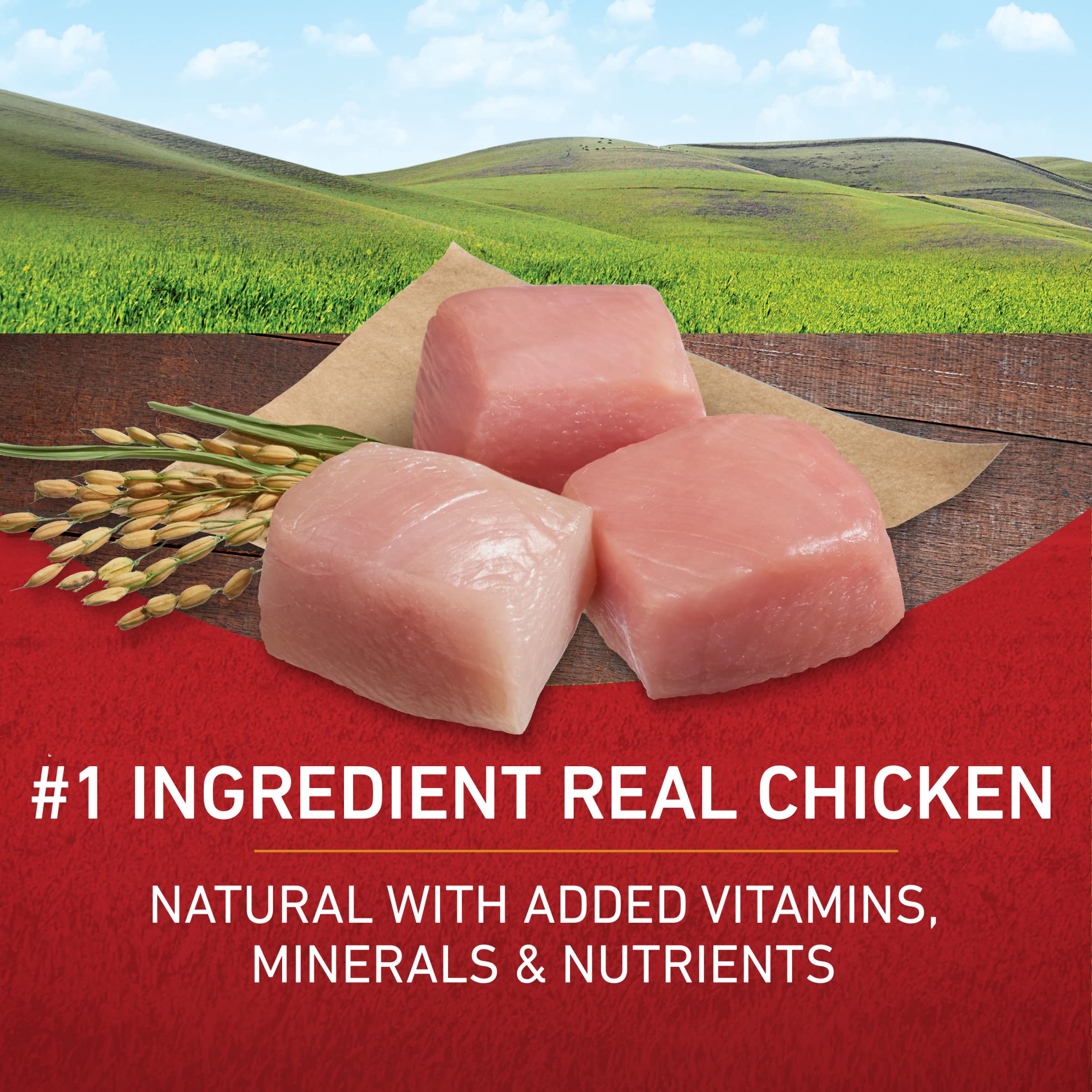 Purina ONE, primer ingrediente pollo, aporta proteína para músculos y vitalidad.