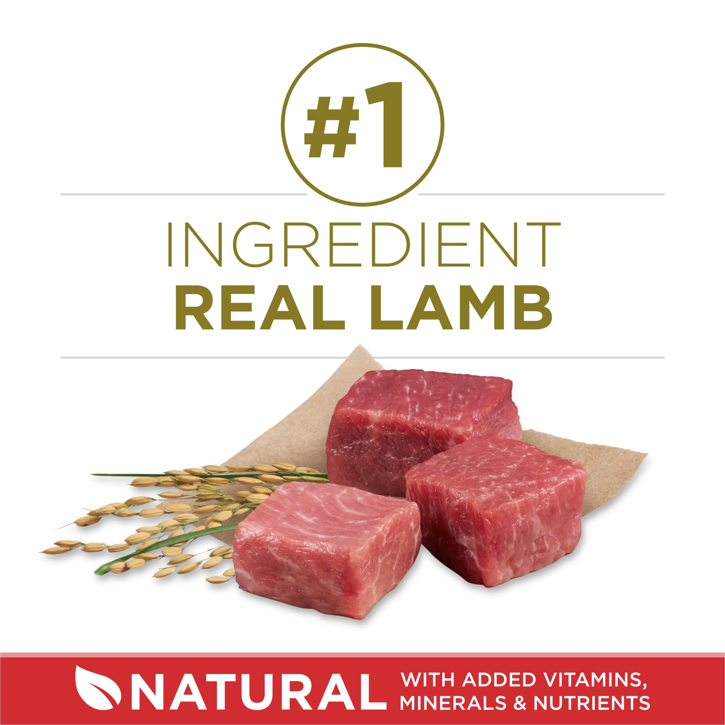 Primero ingrediente cordero real en Purina ONE, aporta proteína de alta calidad.