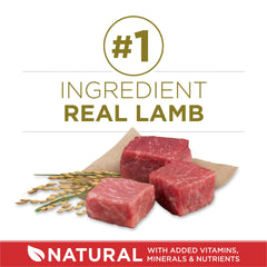 Primero ingrediente cordero real en Purina ONE, aporta proteína de alta calidad.