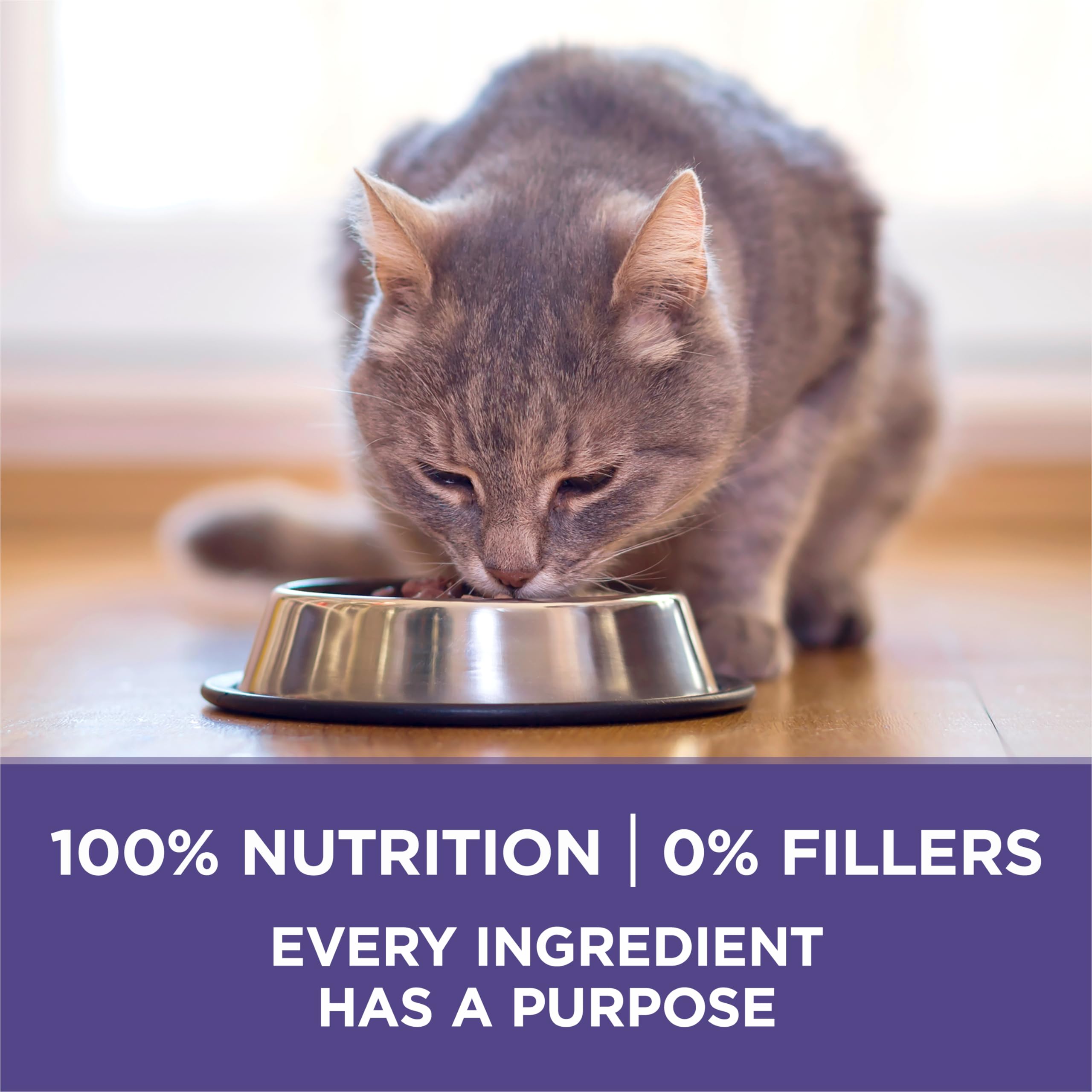 Purina ONE: proteína alta con 38 gramos por taza para músculos.