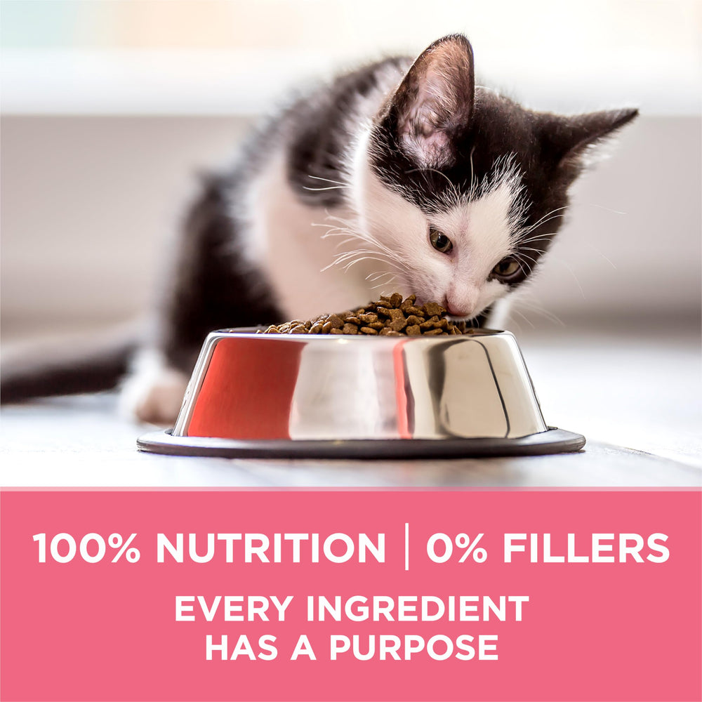 Purina ONE sin sabores artificiales ni conservantes.