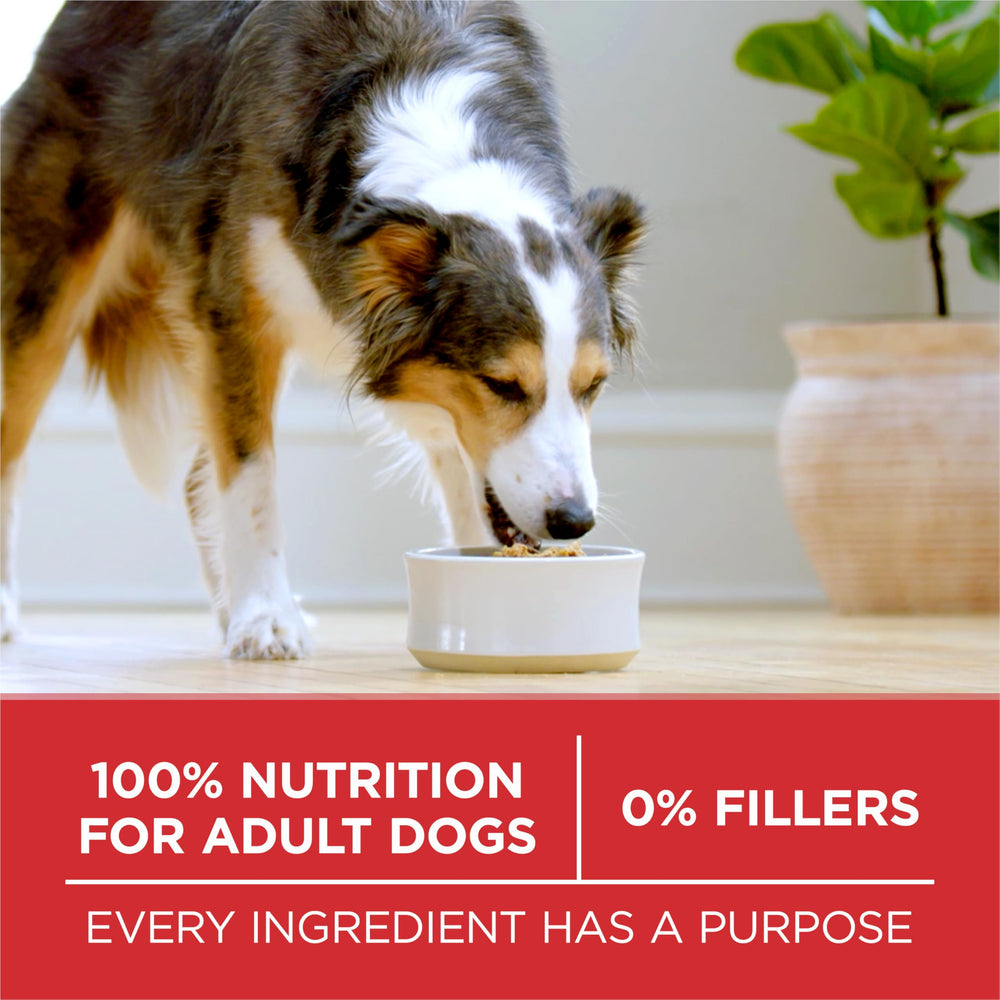 Fórmula Purina ONE para nutrición completa de perros adultos.