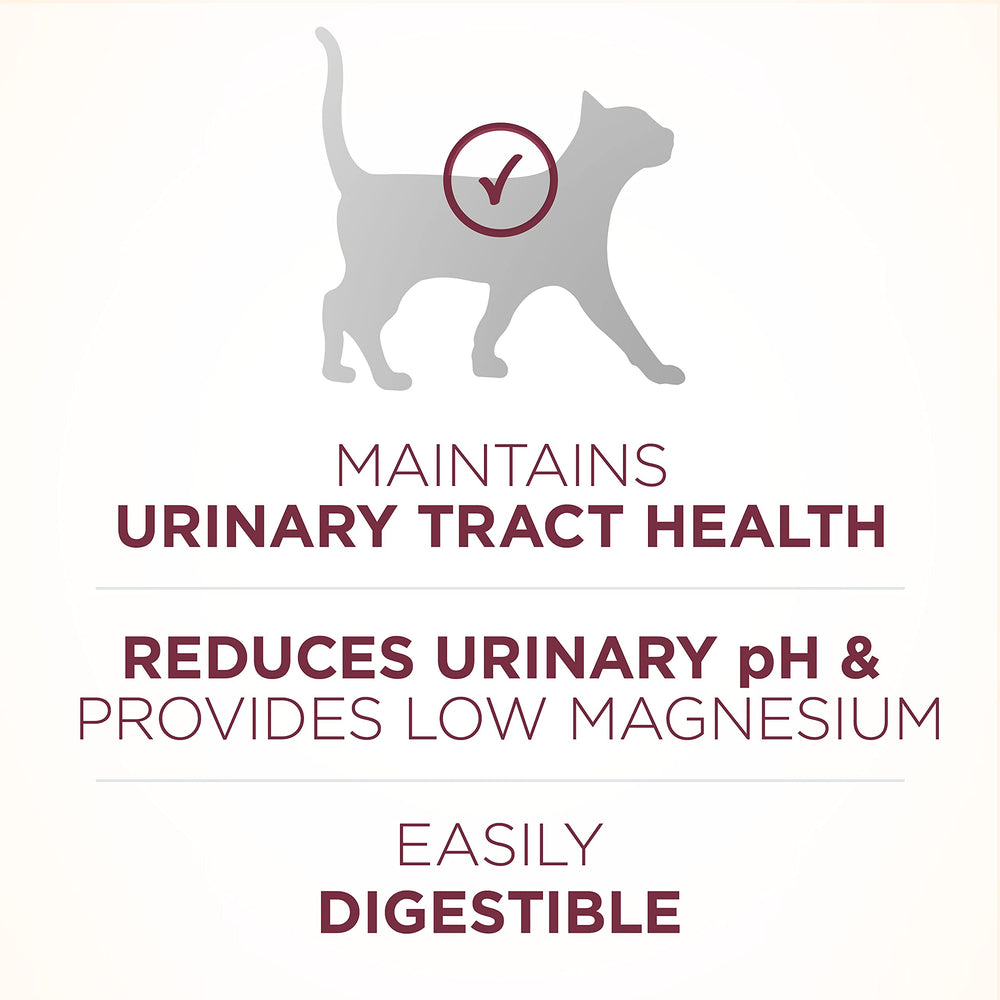 Purina ONE SmartBlend digestibilidad, croquetas para gato