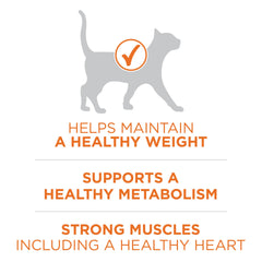 Purina ONE SmartBlend con ingredientes de calidad para nutrición equilibrada
