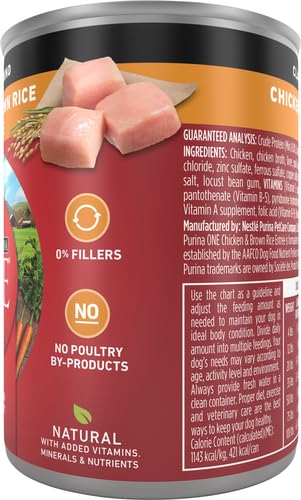 Purina ONE textura de croquetas pequeñas, fácil de masticar para perros adultos