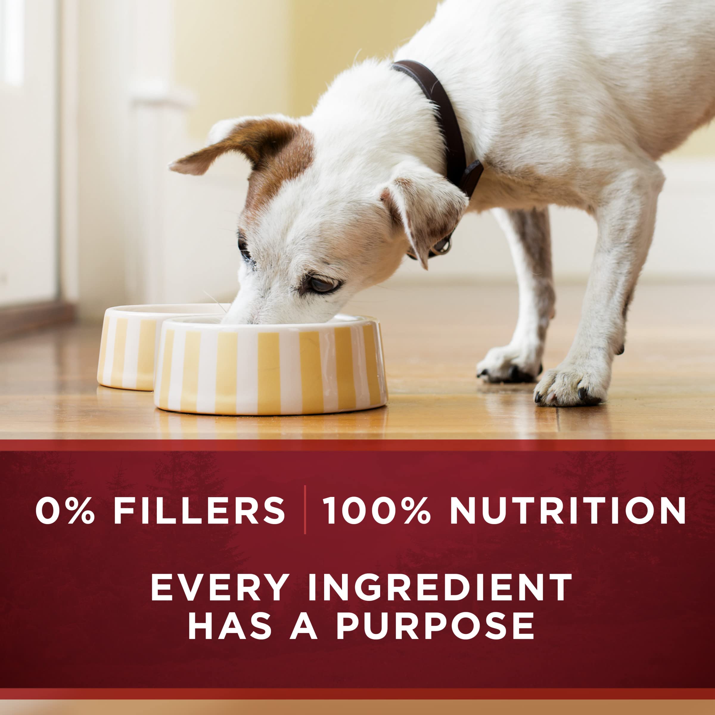 Purina ONE Textura-suave Lata: experiencia de comida suave y agradable.
