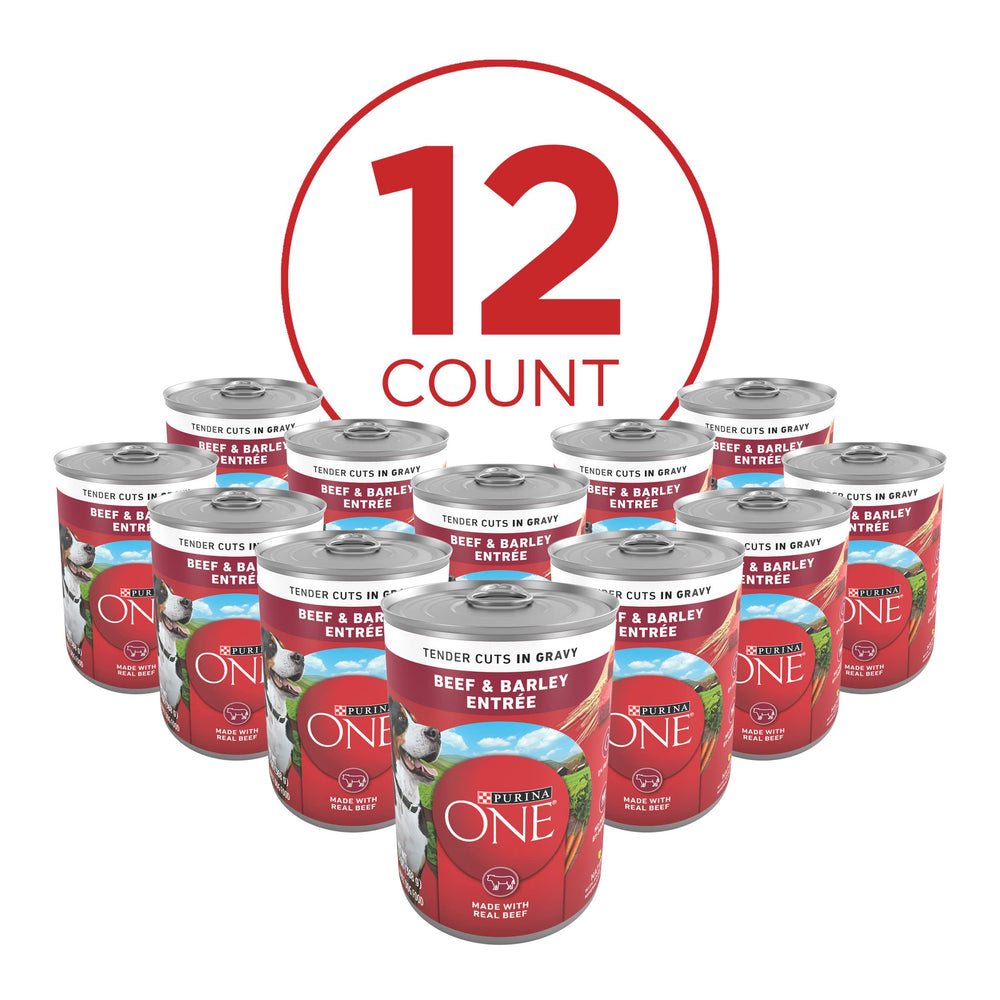Purina ONE Trozos carne res en salsa, ideal para perros activos.