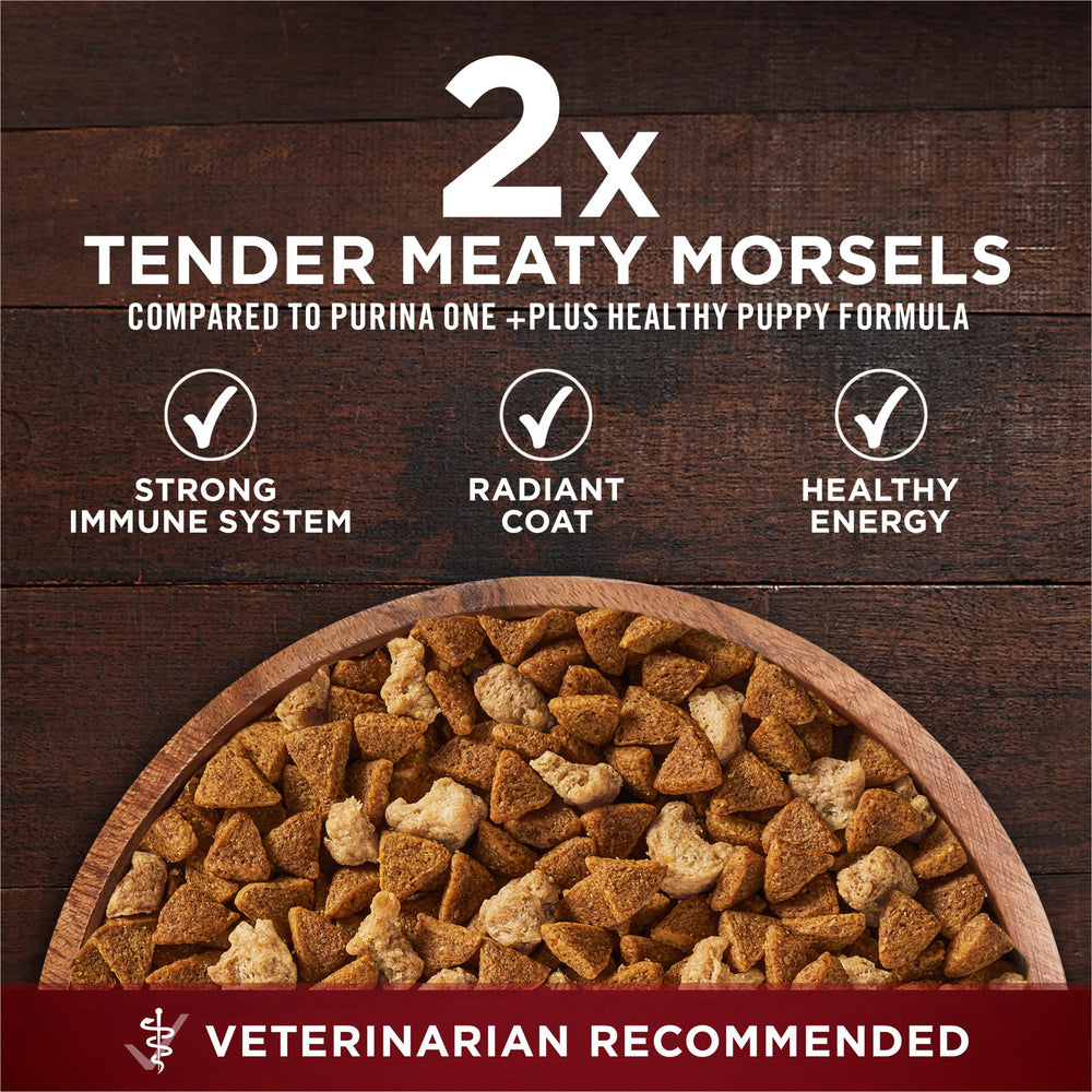 Purina ONE True Instinct antioxidantes para apoyo de la inmunidad en cachorros