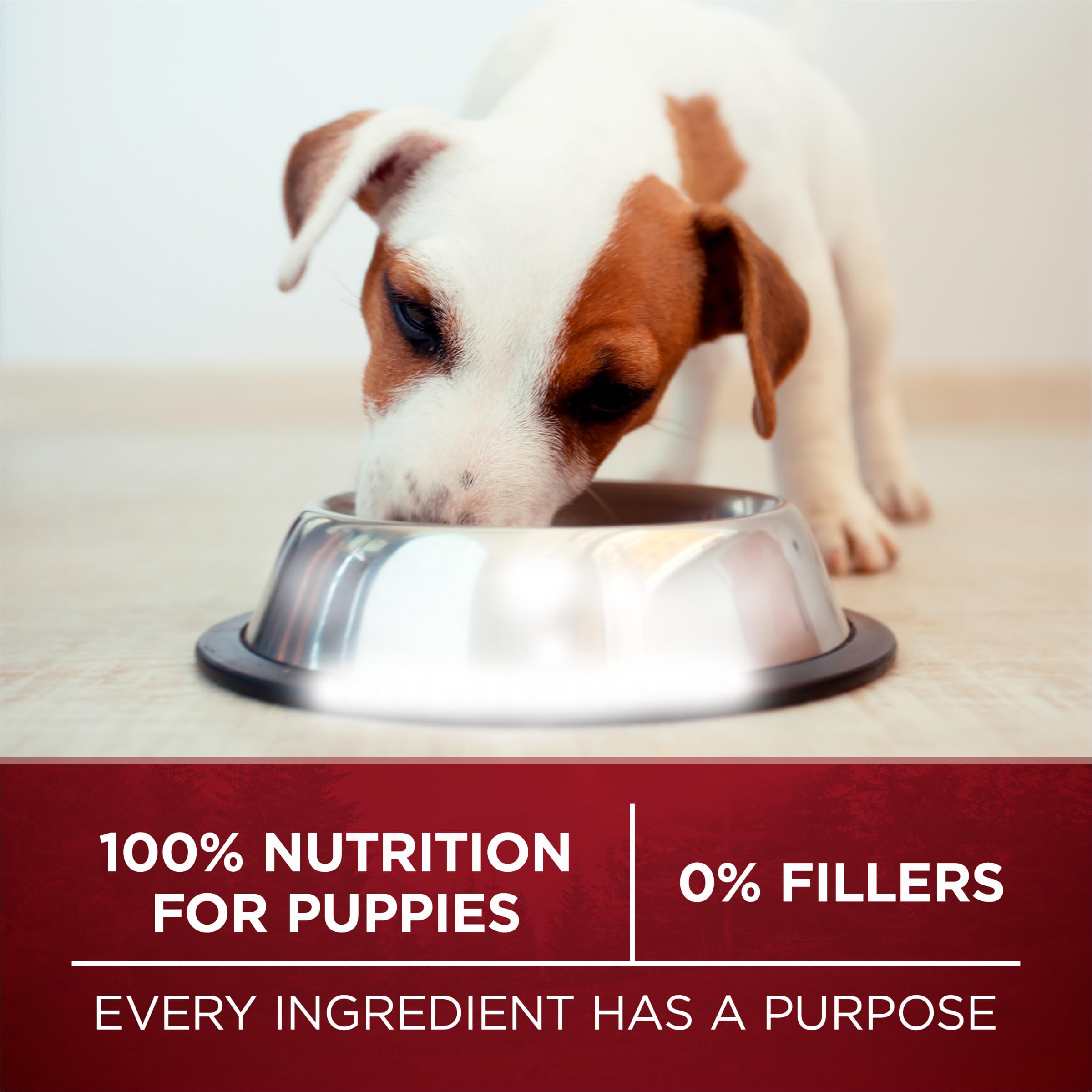 Purina ONE True Instinct calcio y glucosamina para huesos y articulaciones