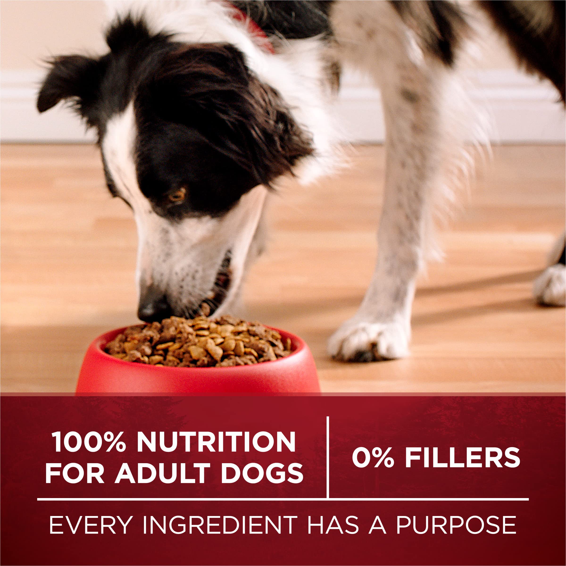 Purina ONE True Instinct sin subproductos de aves para una dieta más limpia.