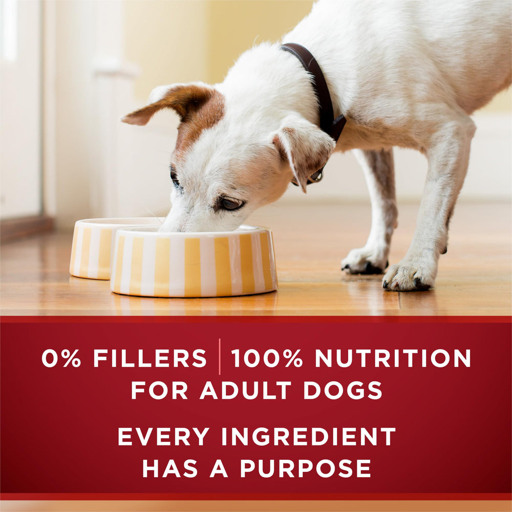 Purina ONE variedad en lata 13 oz: conveniencia para alimentar.