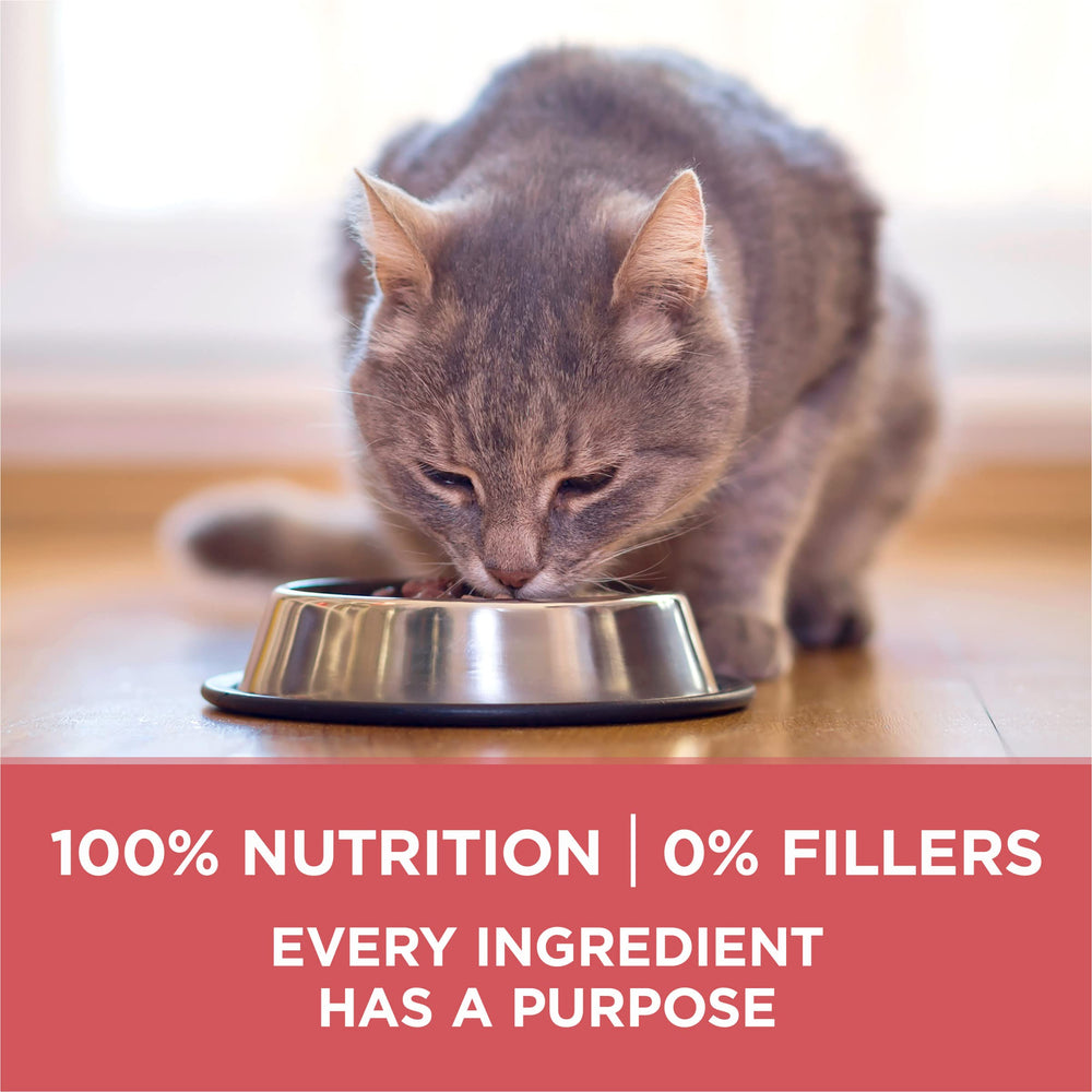 Purina ONE Ventaja para interiores ofrece proteína alta para músculos y corazón saludable.