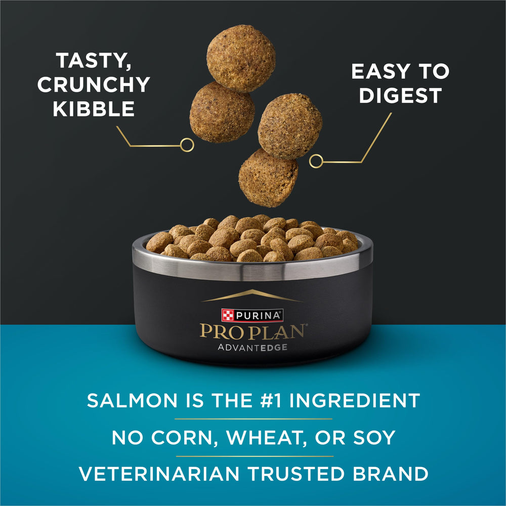 Purina Pro Plan AdvantEDGE: antioxidantes para apoyo inmune en perros grandes.