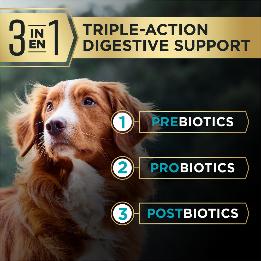 Purina Pro Plan AdvantEDGE: fórmula sin maíz, trigo ni soya para dietas sensibles.